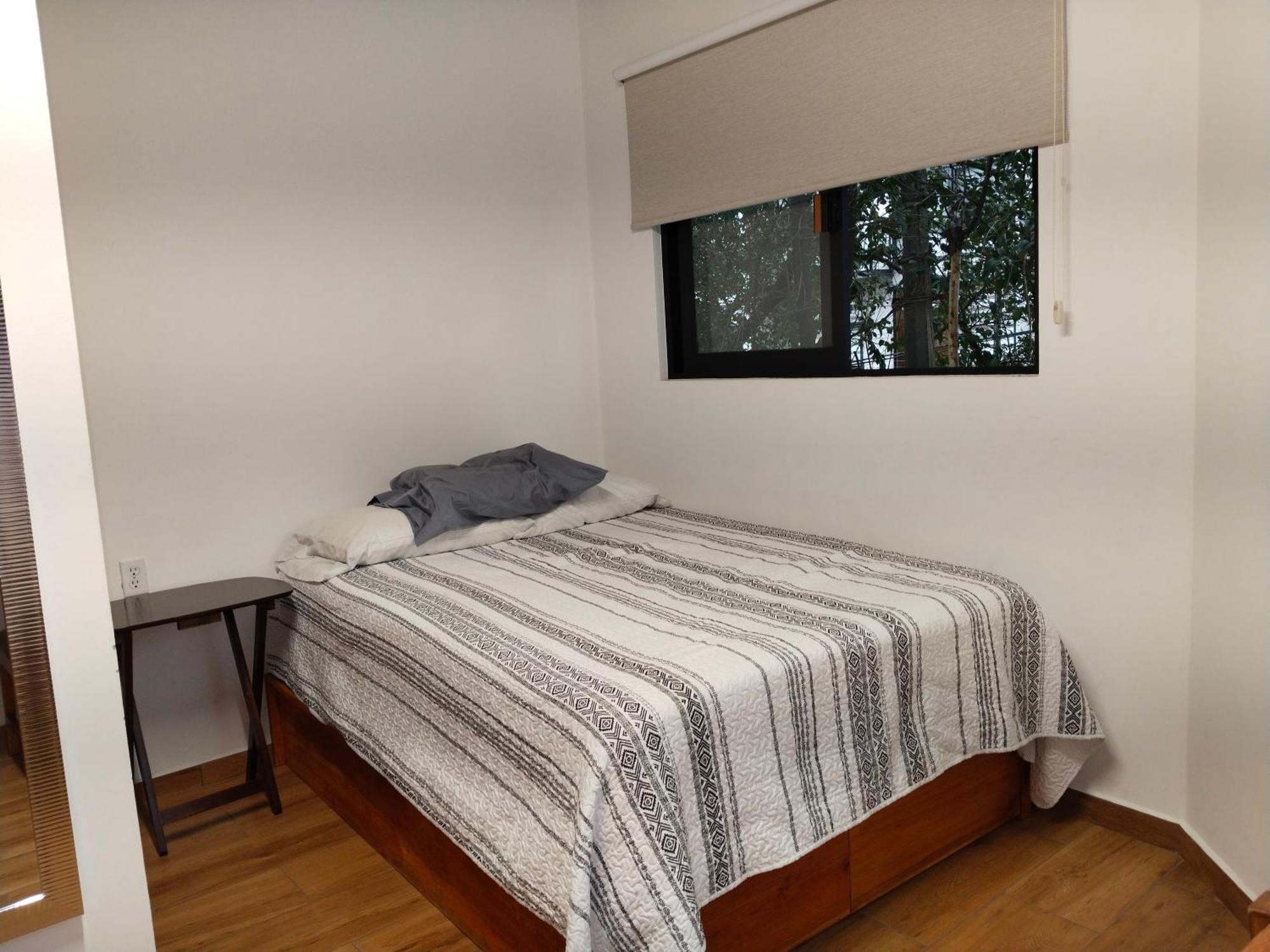 Apartment Luz Savinon Mexico City